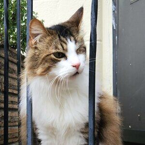 Meet your Posher, Sydney